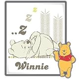 Disney Picture Art Series Winnie the Pooh Pin