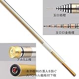 ダイワ(Daiwa) 05 銀影競技スペシャル SF95SX 9.49m 06220064