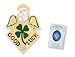 GOOD LUCK Irish Shamrock Wings & Wishes Angel Pin