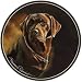 CoasterStone Chocolate Labrador Coasters