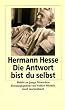 Die Antwort bist du selbst: Briefe an junge Menschen (insel taschenbuch)