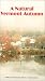 A Natural Vermont Autumn [VHS]