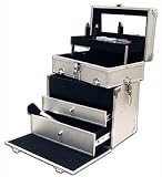 Classic Cool Cosmetic Case (Silver) (11