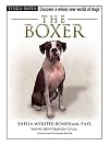 The Boxer (Terra-Nova)