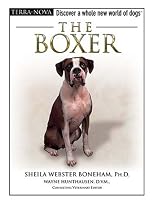The Boxer (Terra-Nova)