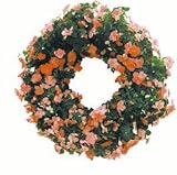 Growing Wreath w/ hngr Green 24 in 6/cs