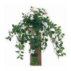 Silk Plants
