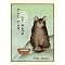 My Favorite Cat Books