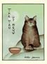The Tao of Meow