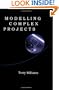 Modelling Complex Projects (Basic topics in psychology)
