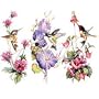 Hummingbird & Flowers Womens Scoop Neck T-Shirt