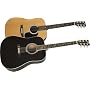 Rogue RA-100D Dreadnought Acoustic Guitar, Black