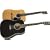 Rogue RA-100D Dreadnought Acoustic Guitar, Black