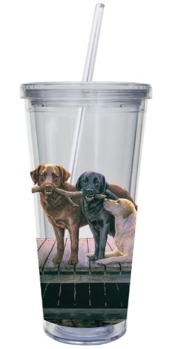 Cypress Home 20-Ounce Insulated Cup With Lid and Straw, Dogs on Pier