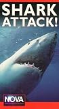 Shark Attack!
