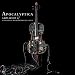 Amplified - a Decade of Reinventing The Cello