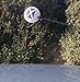 Scottish Rampant Lion Aerial Flag 41HWNHSEnPL. SL75 Scottish Rampant Lion Aerial Flag