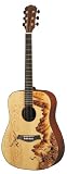 J&D DG-ART 3 Acoustic Guitar w/Mountains and Cranes Artwork