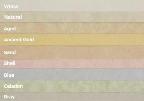 Astroparche - WHITE - 8.5 x 11 Parchment Card Stock - 65lb Cover - 250 PK