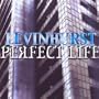 Perfect Life