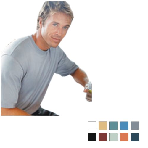 Click here to buy Hanes - Beefy Silver Jersey T-Shirt - SL80.