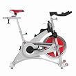 Schwinn IC Evolution SR Indoor Cycling Bike