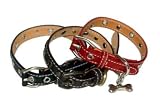 Large Black Eyelet Vachetta Designer Pet Collar