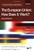The European Union: How Does it Work? (New European Union)