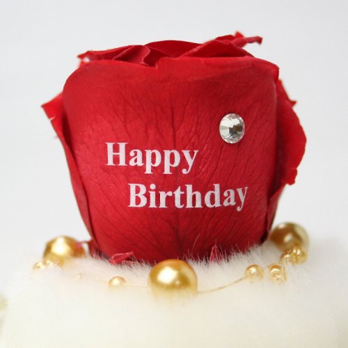 メッセージローズ (Preserved Rose) ローズドーム S1~情熱のラブジャック アトミック~レッド 【バースデイストーン☆4月】【Happy Birthday】 22231
