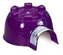 Super Pet Mini Hanster Igloo Hideout, Colors Vary