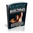 Complete Guide To Muscle Building!