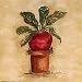 Art Poster Print - Beet - Artist: Mary Hughes - Poster Size: 6 X 6 inches