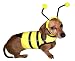Pet Supplies : Bumble Bee Halloween Dog Costume - Medium