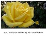 2010 Flowers Calendar By Patricia Bolander