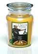 Summer Punch Filled Jar Candle, Made with Soy Wax
