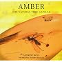 Amber: The Natural Time Capsule (Earth)