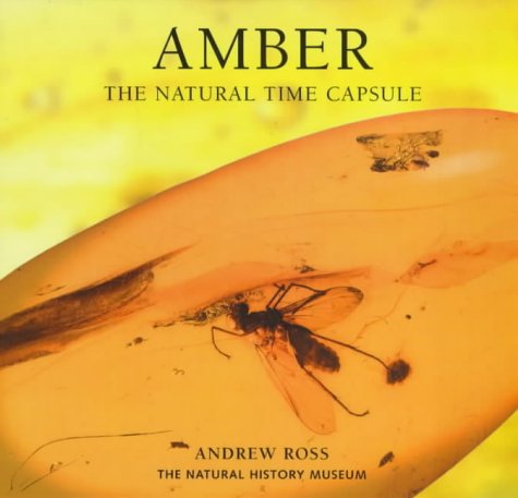 Amber: The Natural Time Capsule (Earth)
