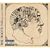 Phrenology