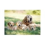 Melissa & Doug 0100 pc Golden Retriever w/Puppies Cardboard Jigsaw