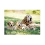 Melissa and Doug Golden Retriever with Puppies Cardboard Jigsaw Puzzle (100 pc)