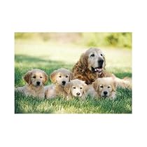 Melissa & Doug 0100 pc Golden Retriever w/Puppies Cardboard Jigsaw