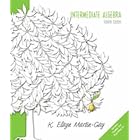Intermediate Algebra and Mymathlab Pkg by  K. Elayn Martin-Gay