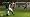 FIFA 06: Road To Fifa World Cup (Xbox 360)
