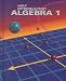 Book Introductory Algebra 1