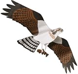 Osprey Kite - Assembled