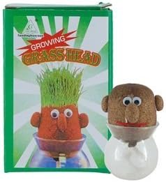 DIY Your Own Grass Head (Green)
