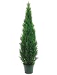 72" Cedar Topiary X2492 W/pot (Knockdown Packing) Green