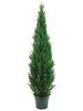 72" Cedar Topiary X2492 W/pot (Knockdown Packing) Green