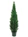 72" Cedar Topiary X2492 W/pot (Knockdown Packing) Green