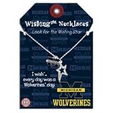 University of Michigan Wishing Necklace